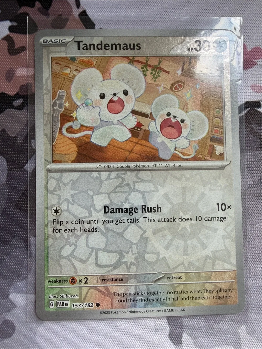 Tandemaus & Maushold Pokémon Evolution Lot 🐭 Reverse Holo | 5 Cards ✨5/$25✨